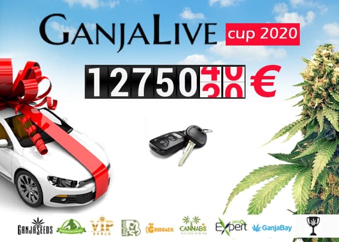 ავტომობილი გროურეპორტისთვის - GanjaLive Cup შთამბეჭდავი პრიზით!