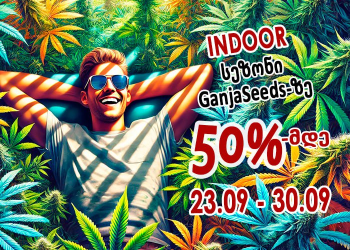 -50%-მდე ფასდაკლება GanjaSeeds-ზე!