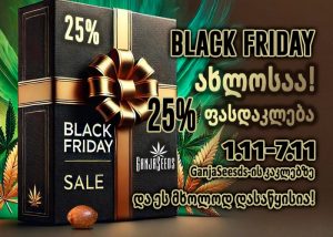 Black Friday ახლოსაა– GanjaSeeds გიმზადებთ ცხელ-ცხლე აქციებს!