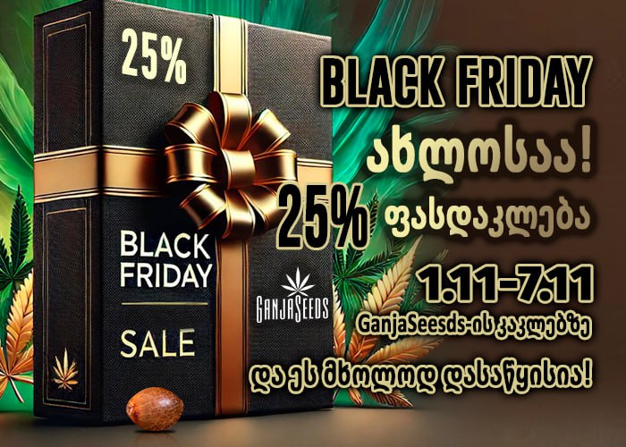 Black Friday ახლოსაა– GanjaSeeds გიმზადებთ ცხელ-ცხლე აქციებს!