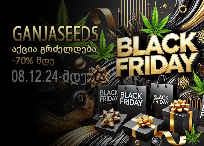 Black Friday აქცია გრძელდება